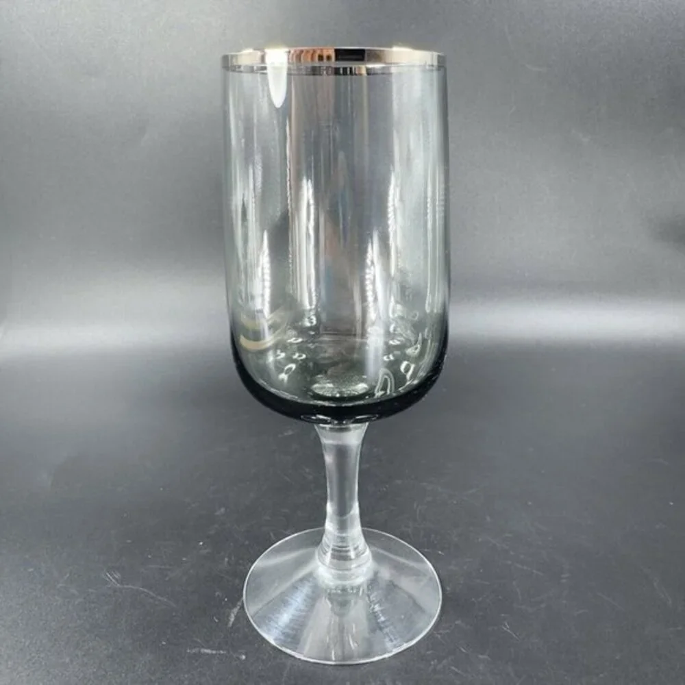 Fostoria Cherish Smoke Grey and Platinum Trim Set 2 Drinking Glasses Cups‎ Glass